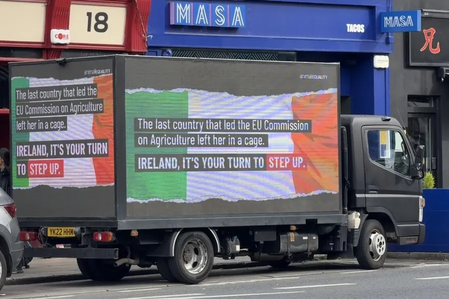Protest-Offensive gegen Käfige: Aktivist*innen aus ganz Europa fordern EU-Kommission zum Handeln auf 7 Protestaktion in Dublin