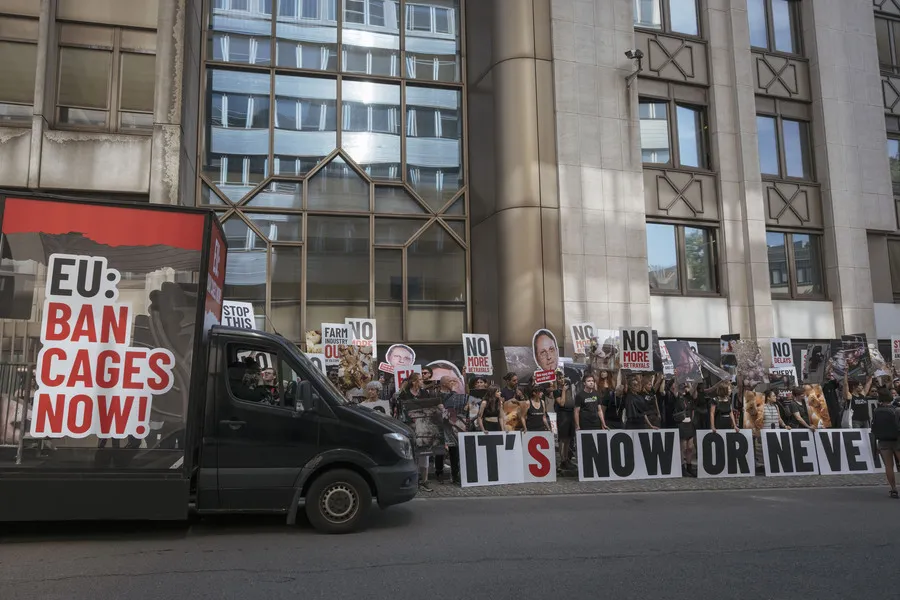 Protest-Offensive gegen Käfige: Aktivist*innen aus ganz Europa fordern EU-Kommission zum Handeln auf 2 Protest in Brüssel