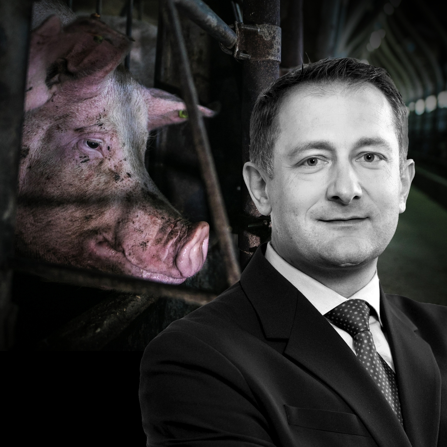 Christophe Hansen