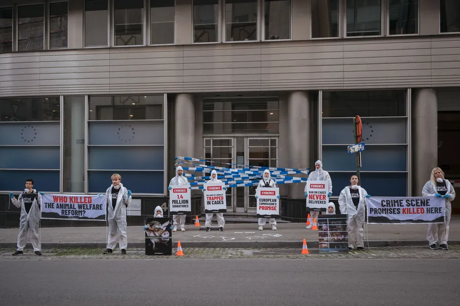 Protest in Brüssel