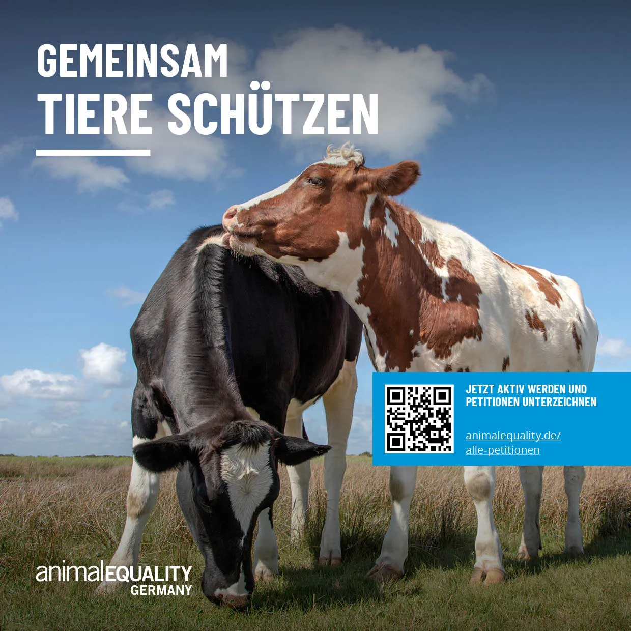 Broschüre Über Animal Equality