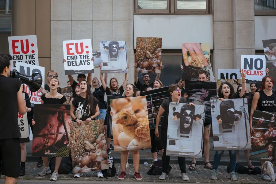 Warum Tierschutz nicht an Landesgrenzen enden darf – und was du jetzt tun kannst 4 Protest in Brüssel