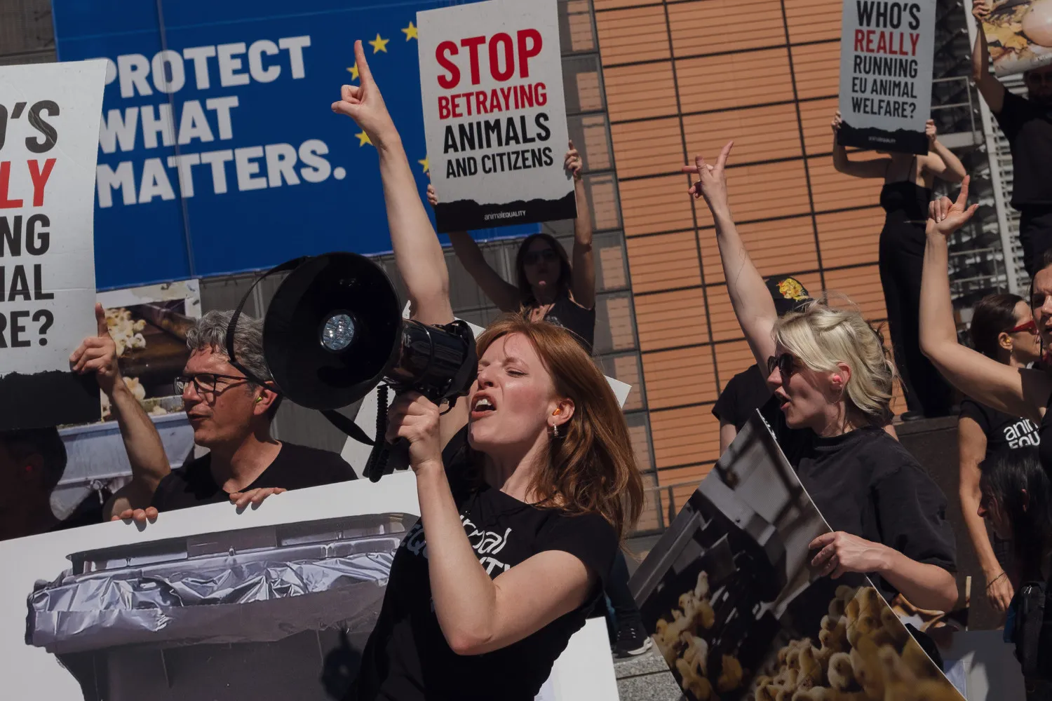 Protest in Brüssel