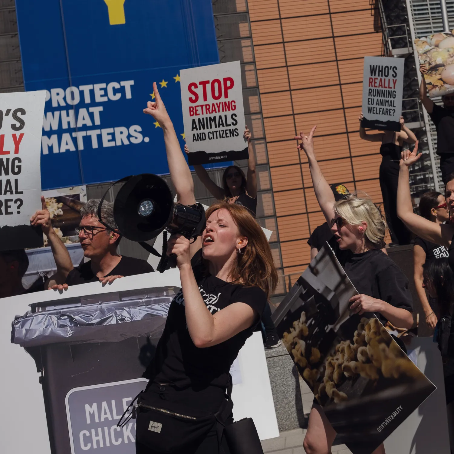Protest in Brüssel