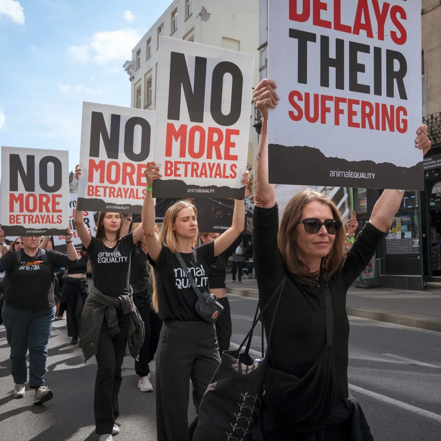 Protest in Brüssel gegen Käfighaltung