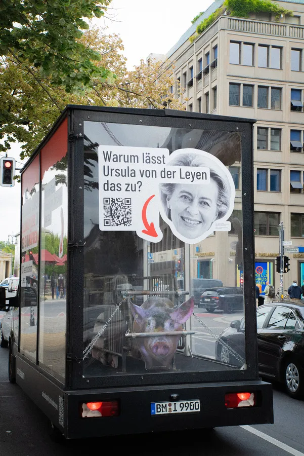 Kastenstand im gläsernen Truck