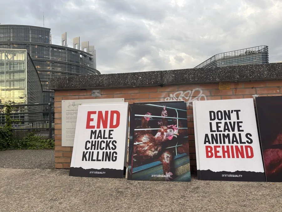 Von der Leyen ignoriert Tierschutz – wir lassen nicht locker 2 Protest in Straßburg