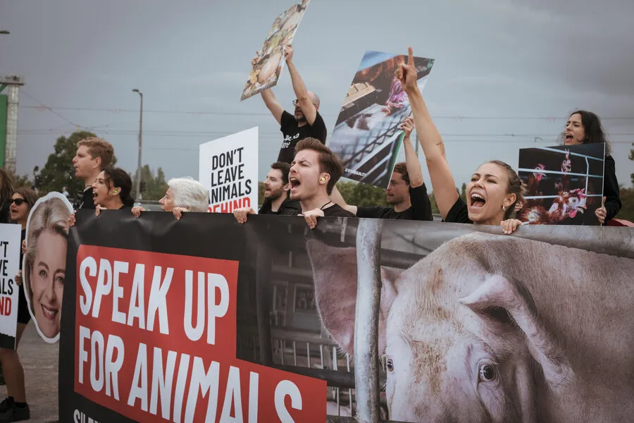 Von der Leyen ignoriert Tierschutz – wir lassen nicht locker 1 Protest in Straßburg mit Forderungen zum europäischen Tierschutz