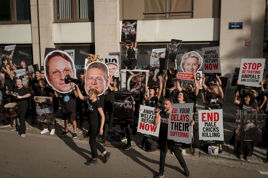 Protest in Brüssel