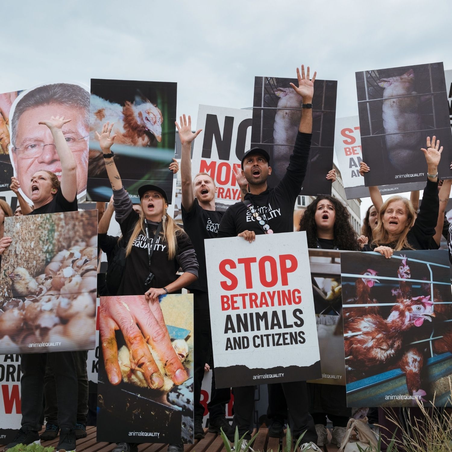 Proteste in Brüssel