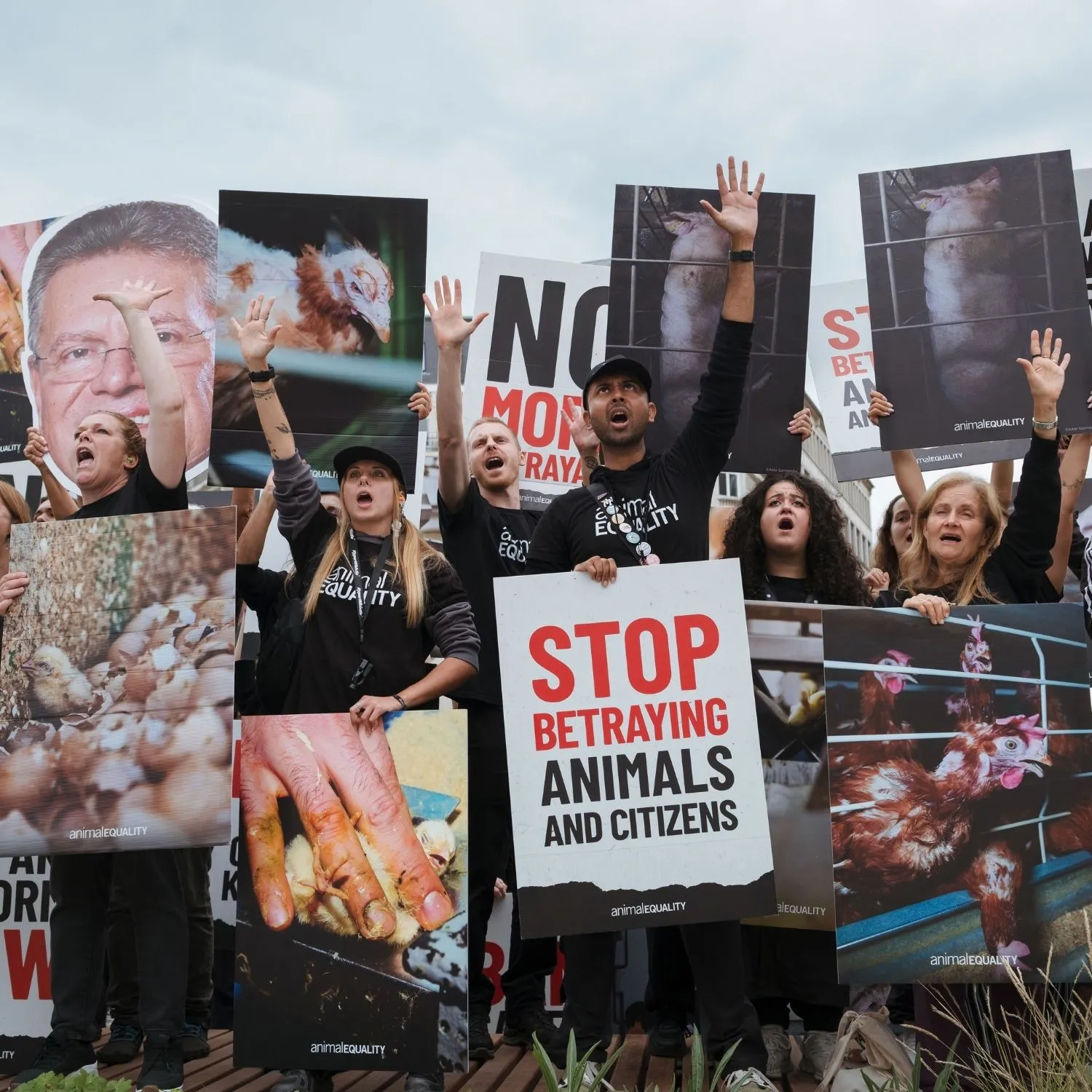 EU-Tierschutzreform: Bisher größte Protestwelle in Brüssel 1 EU-Tierschutzreform: Bisher größte Protestwelle in Brüssel