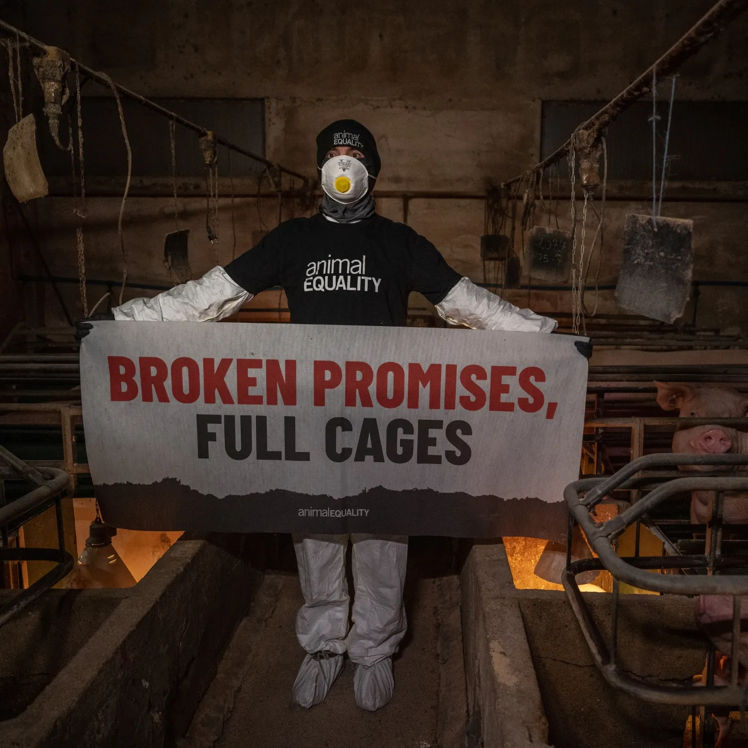 Aktivist*innen konfrontieren EU-Kommission mit Protest-Banner in Tierhaltungsanlagen