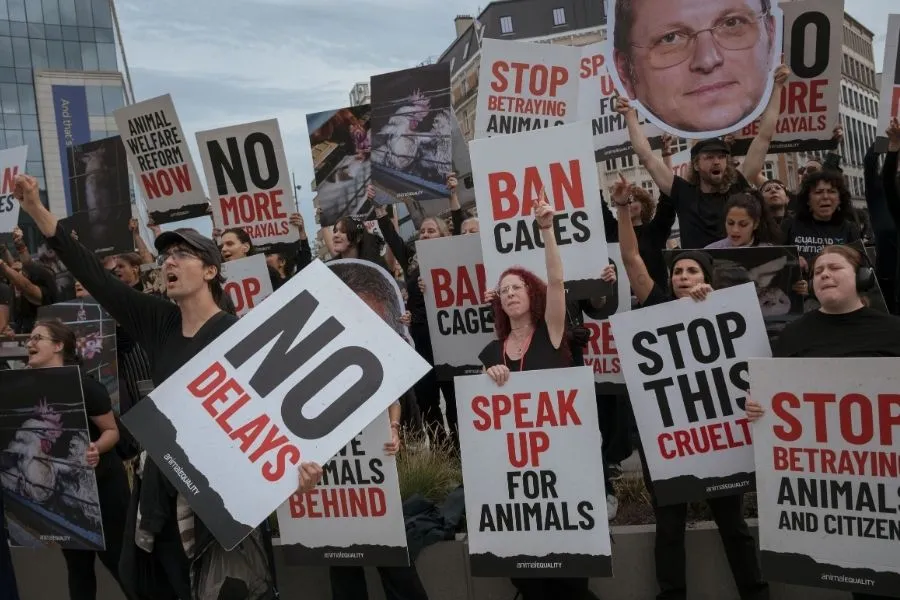 Proteste in Brüssel
